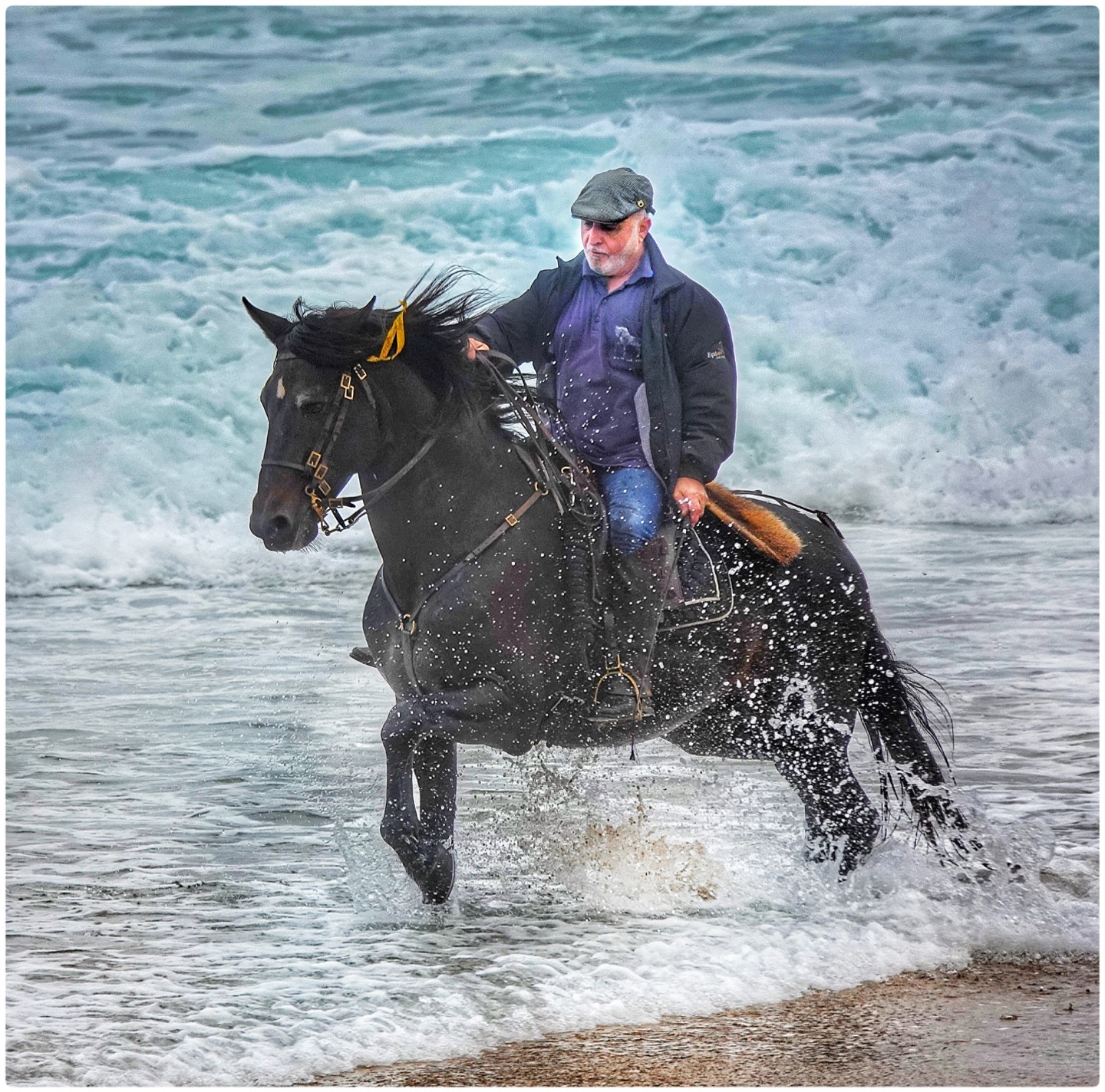 2nd PrizeOpen Color In Class 2 By Marie Roberts For Seaside Equestrian Nazare DEC-2021.jpg